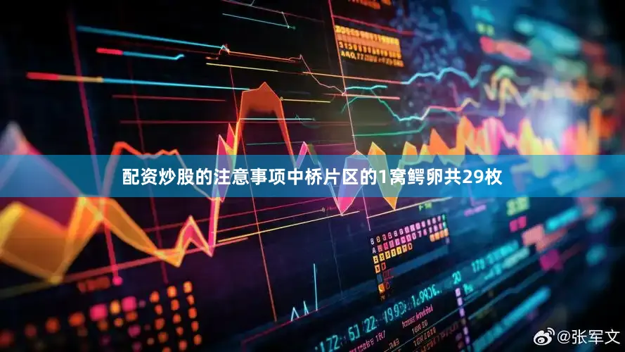配资炒股的注意事项中桥片区的1窝鳄卵共29枚