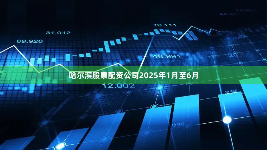 哈尔滨股票配资公司　　2025年1月至6月